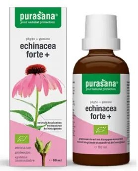 JEŻÓWKA PURPUROWA (ECHINACEA FORTE) KROPLE BIO 50 ml - PURASANA JEŻÓWKA PURPUROWA (ECHINACEA FORTE) KROPLE BIO 50 ml - PURASANA